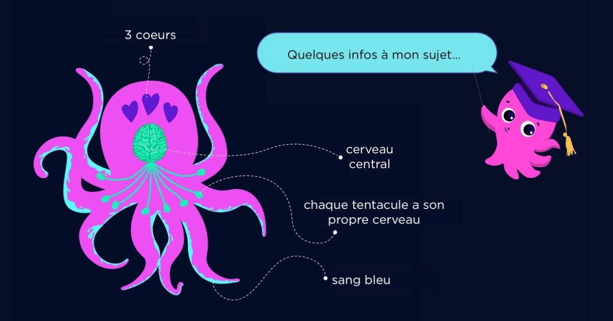 Fun facts sur les octopodes