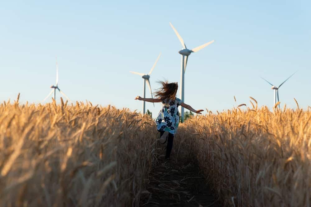 Des éoliennes au fond d'un champ de blé