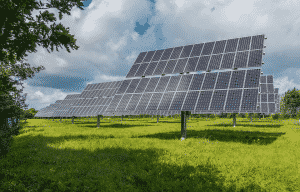 énergie renouvelable & biodiversité : panneaux photovoltaïques